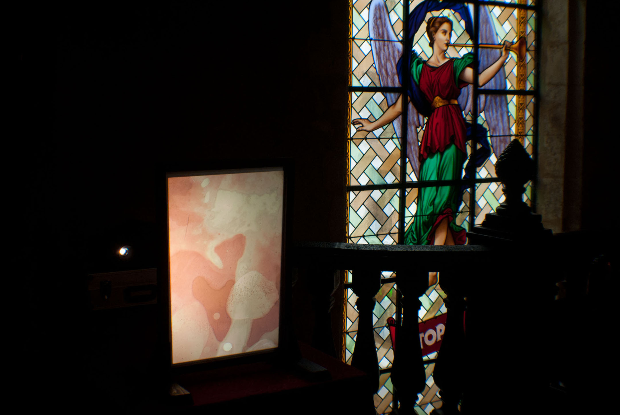 Vue d'exposition au cinéma Utopia, Bordeaux