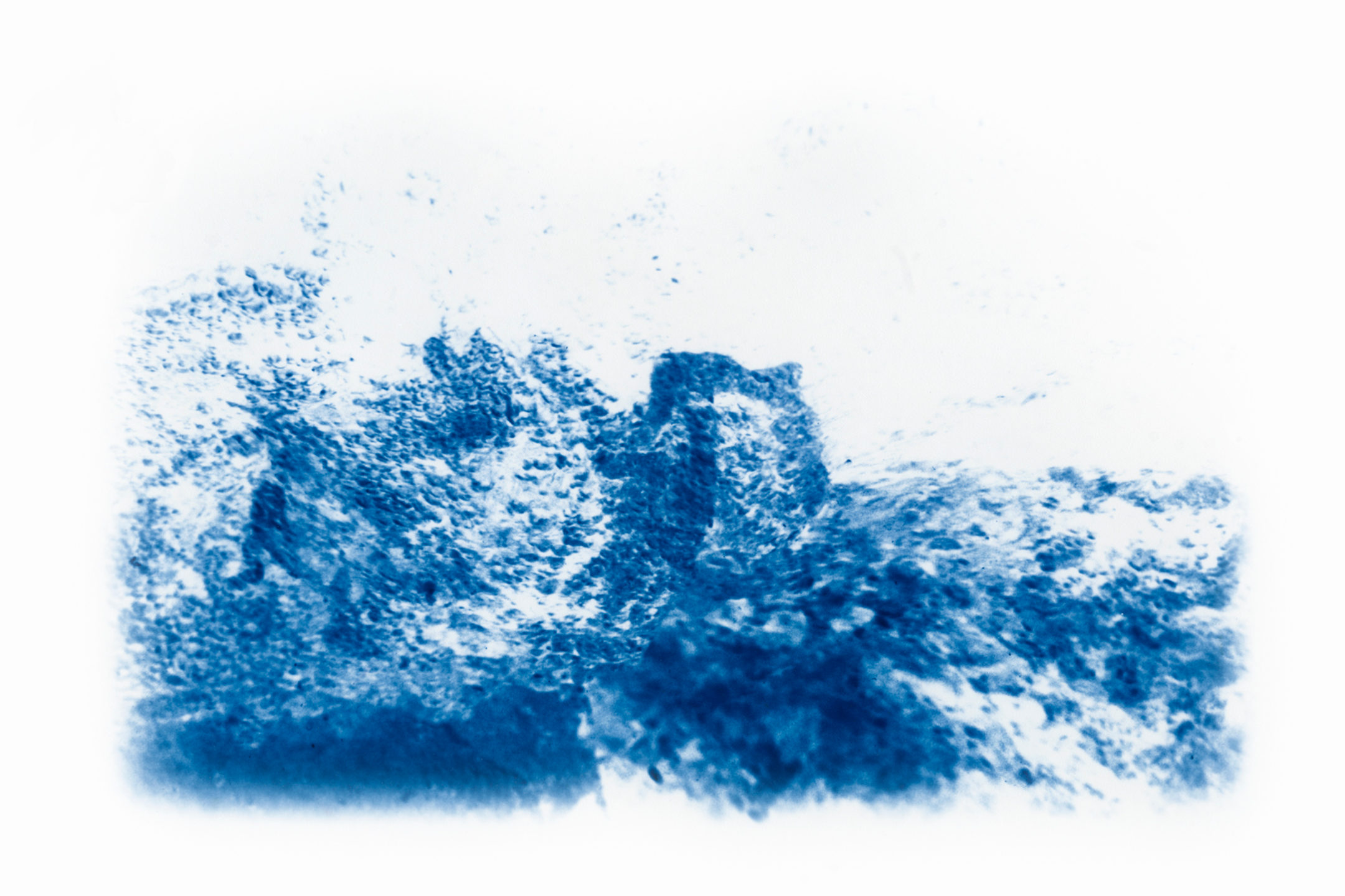 Vue d'une photographie numérique couleur